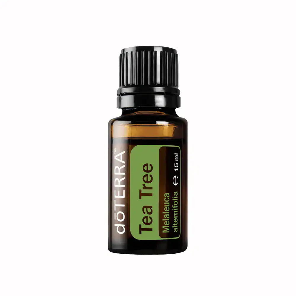 TeaTree00.webp Tea Tree / Arbore de ceai dōTERRA